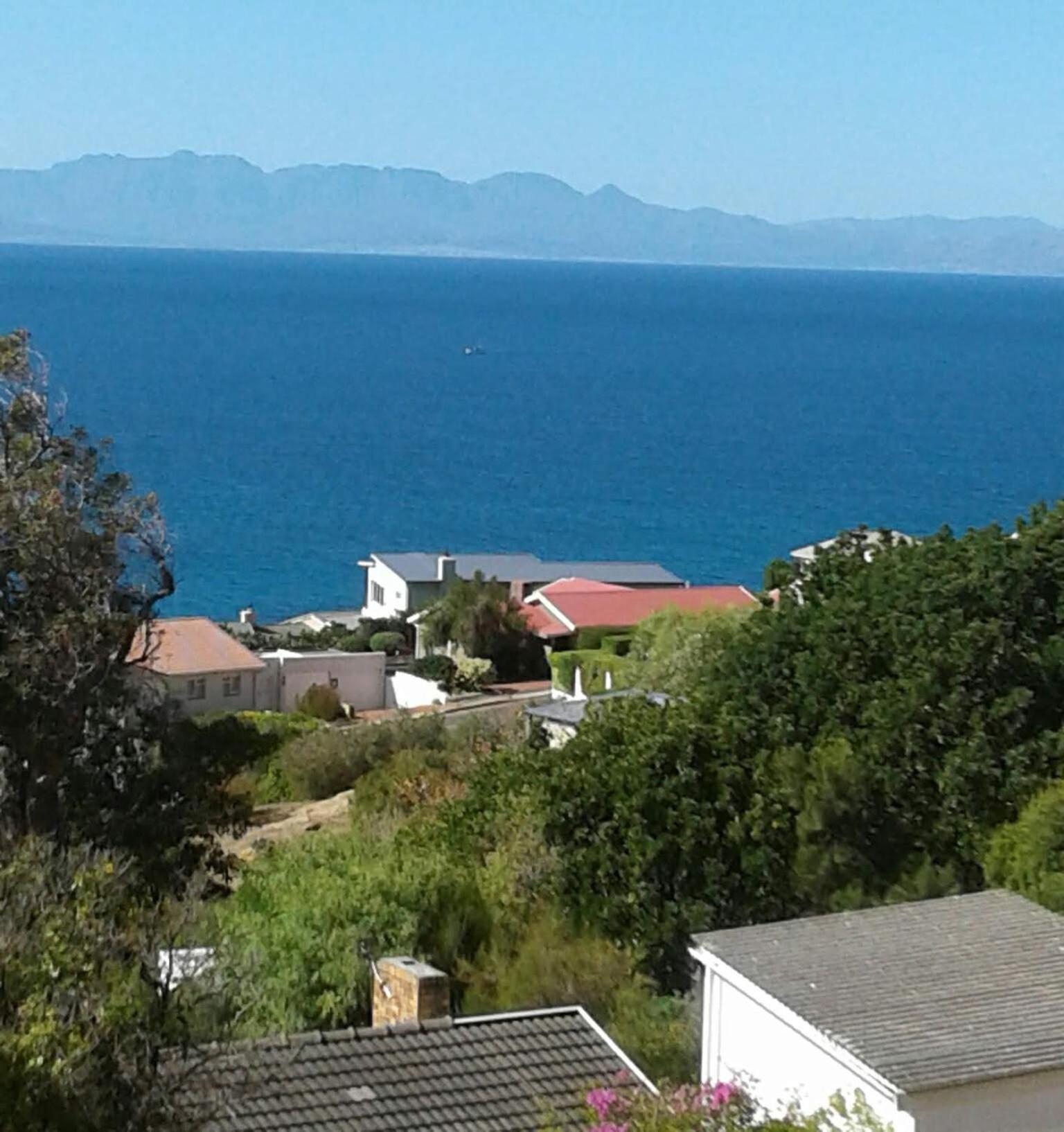 Simonʼs Town Froggy Bay Is The Best All The Way! מראה חיצוני תמונה